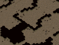 03.png