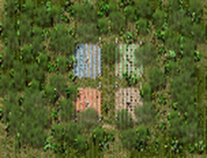 10.png