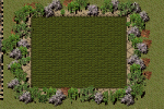 21.bmp