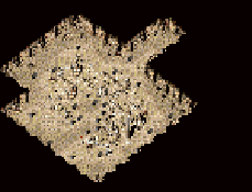 23.png