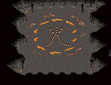 29.png