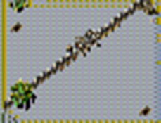 31.png