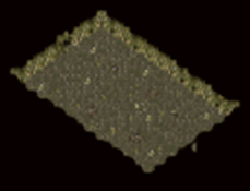 37.png
