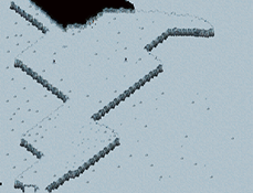 15.png