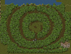16.png