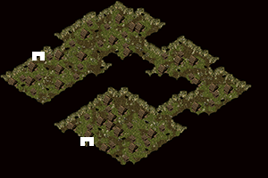 09.bmp