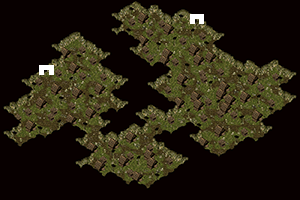 10.bmp