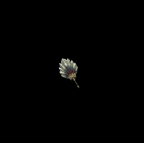 武器代号0067